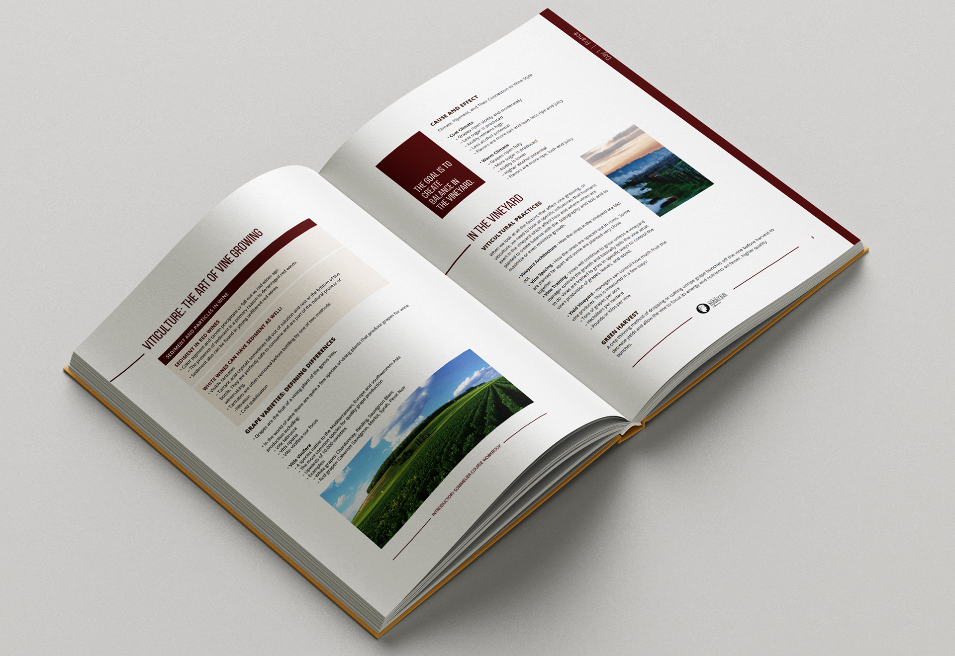 Book Design